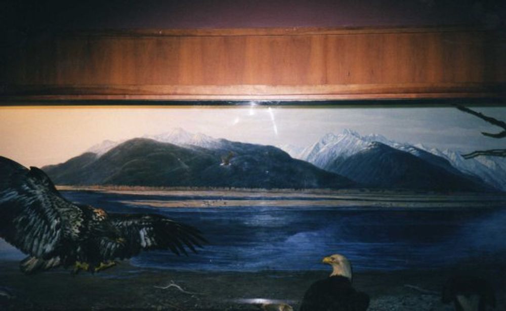 New York 2003
