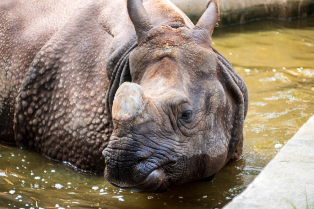 Zoo 17-08-2024