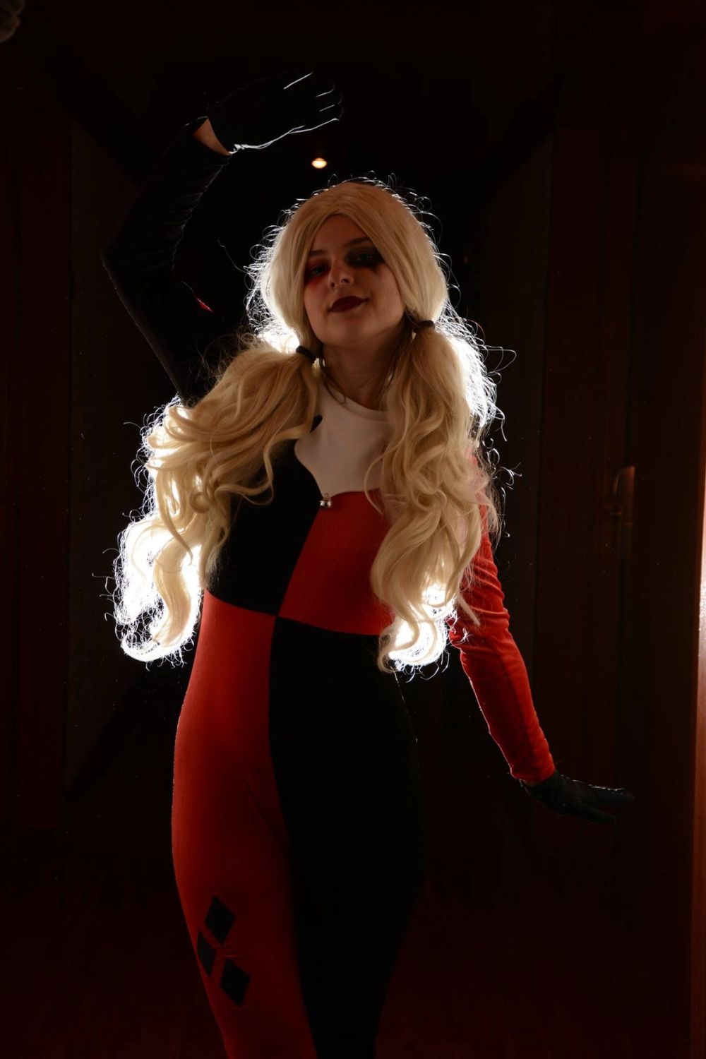 harley quinn 24-02-2019