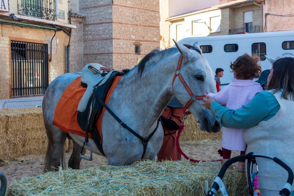 Espectaculo Carrera de caballos (Torrijos) 26-03-2023