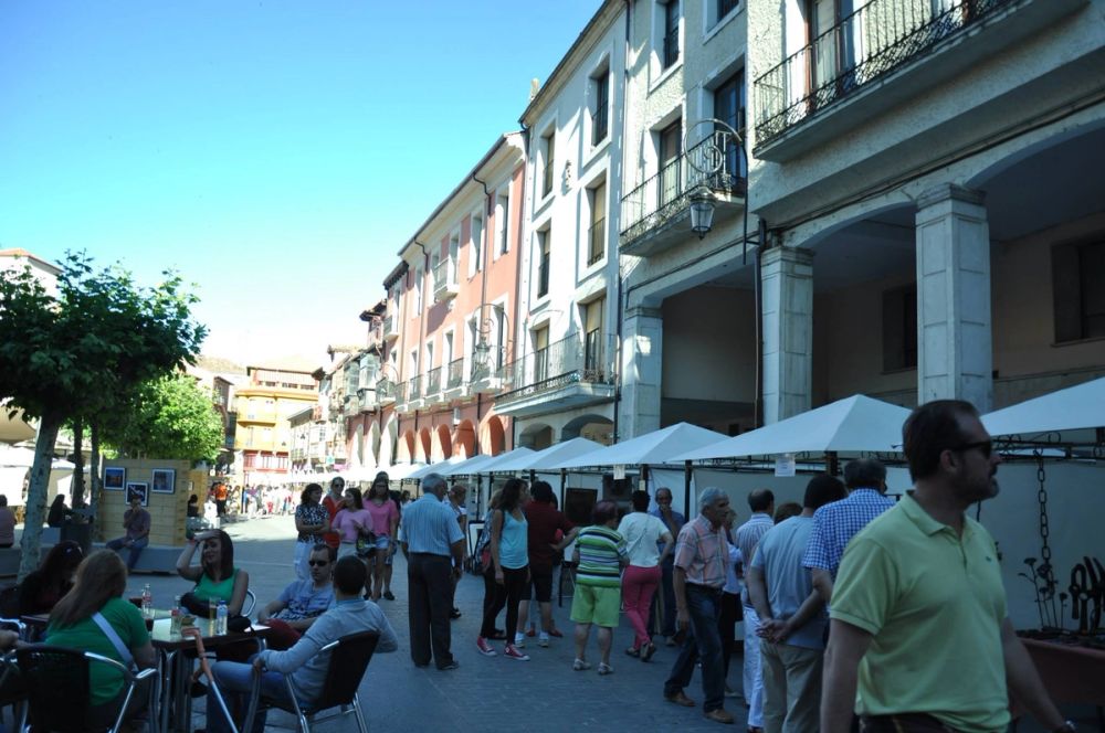 Aranda del duero 2014