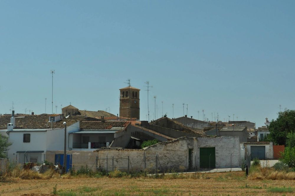 Campillo de alto buey 2013