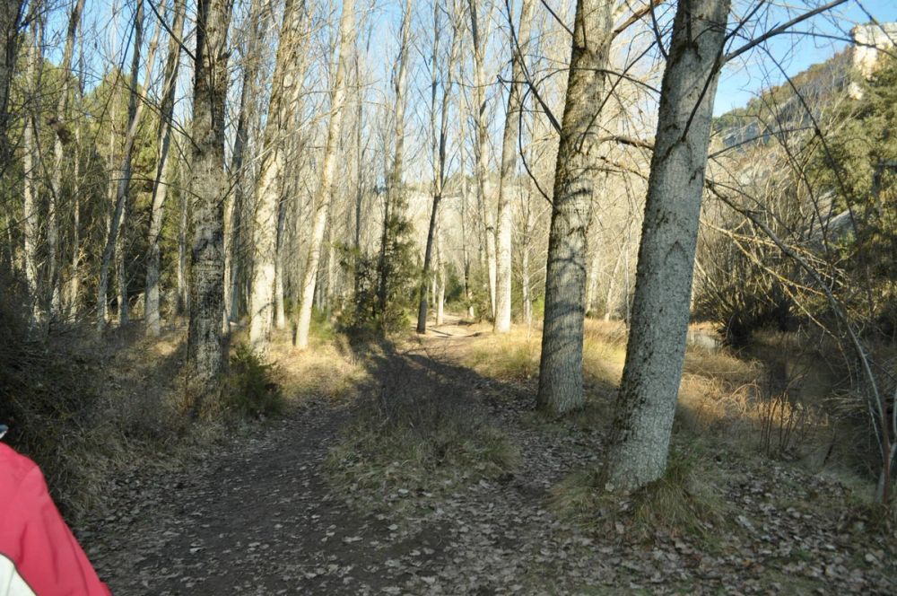 Rio lobos (Burgos/Soria) 2012