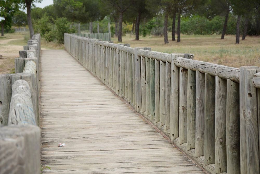 Parque polvoranca (Leganes) 10-06-2019