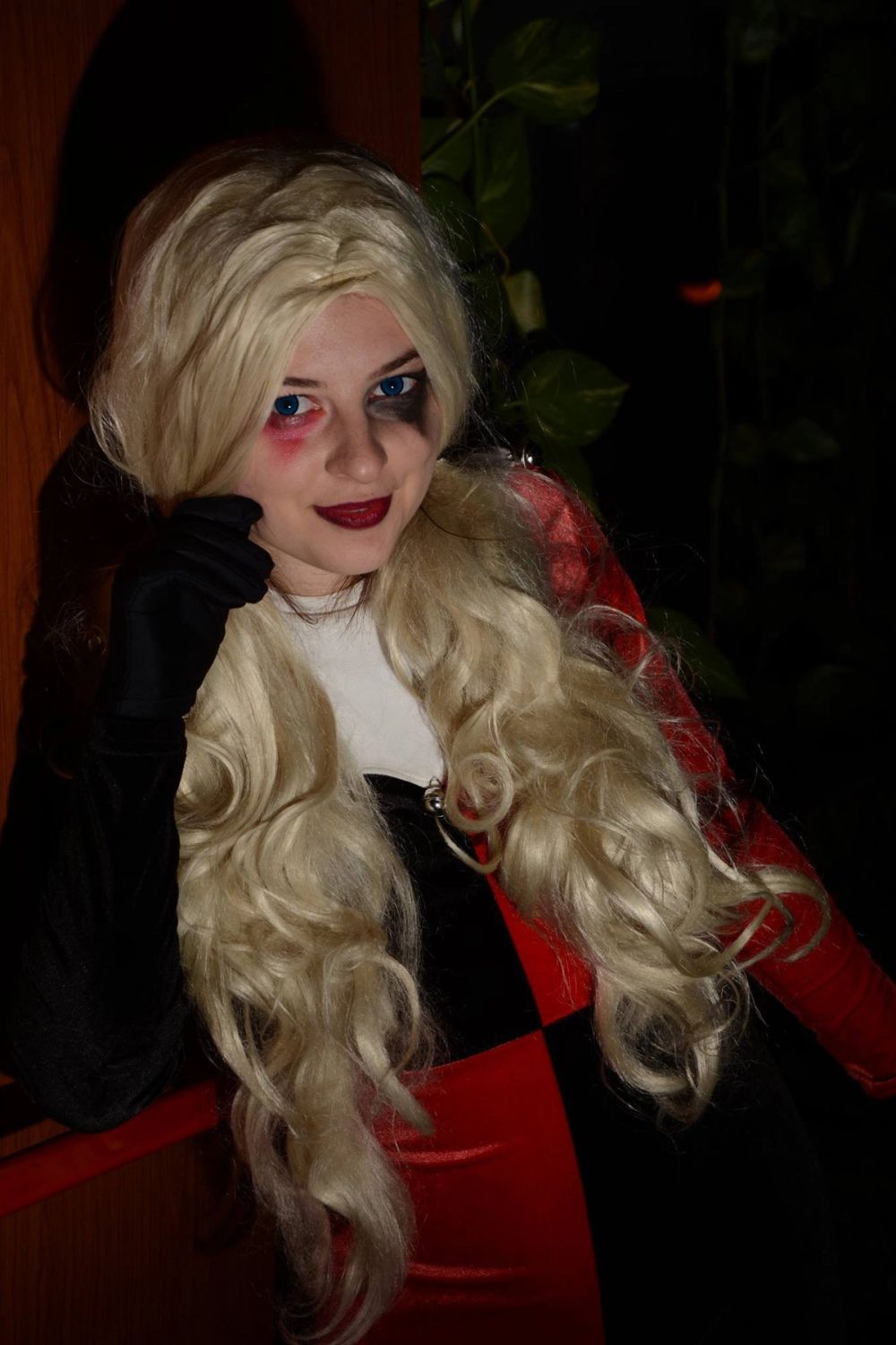 harley quinn 24-02-2019