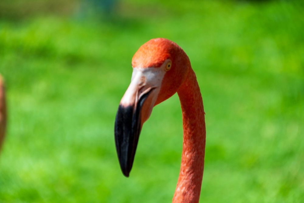 Zoo 17-08-2024