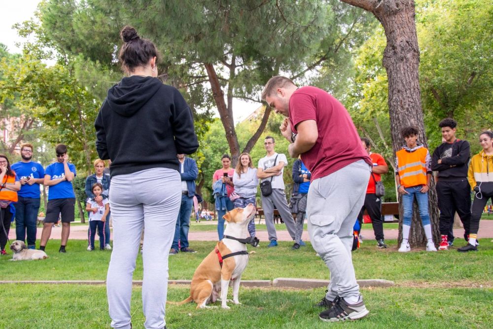 IV Ruta canina en Leganes 22-09-2019