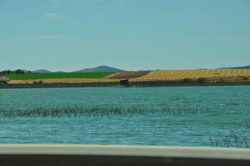Ciudad Real 2014