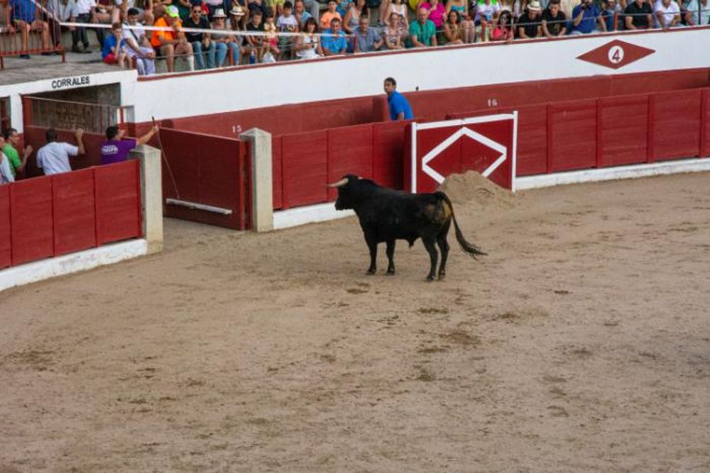 Toros en Colmenar Viejo 22-08-2019
