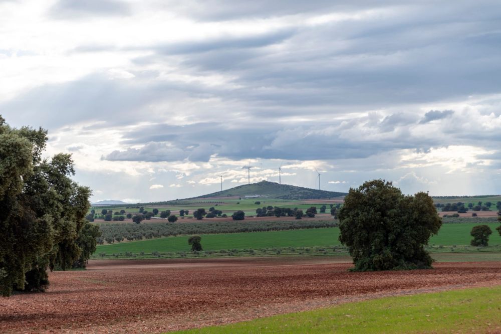 Sierra de Corral de Almaguer 03-05-2025
