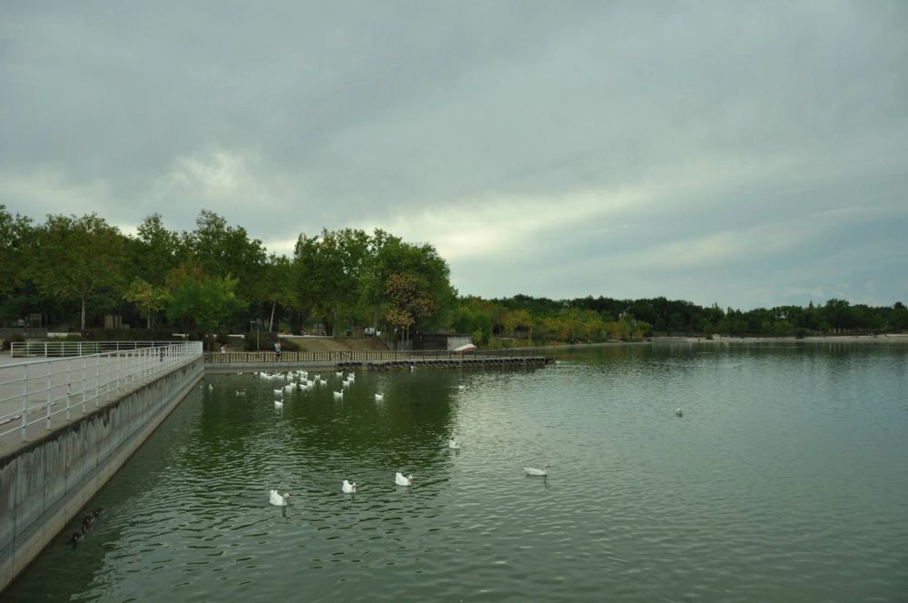 parque Polvoranca (Leganes) 30-08-2014