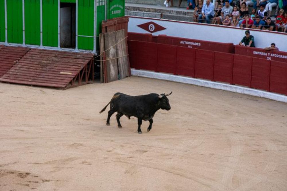 Toros en Colmenar Viejo 22-08-2019