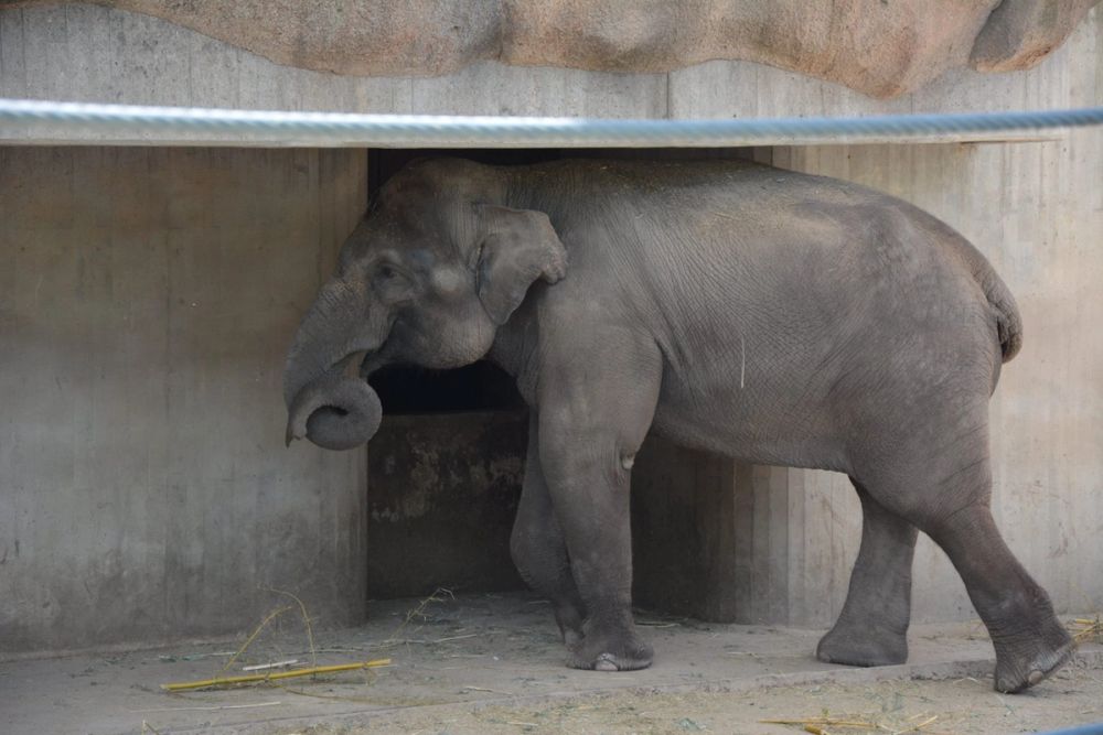 zoo 07-07-2018