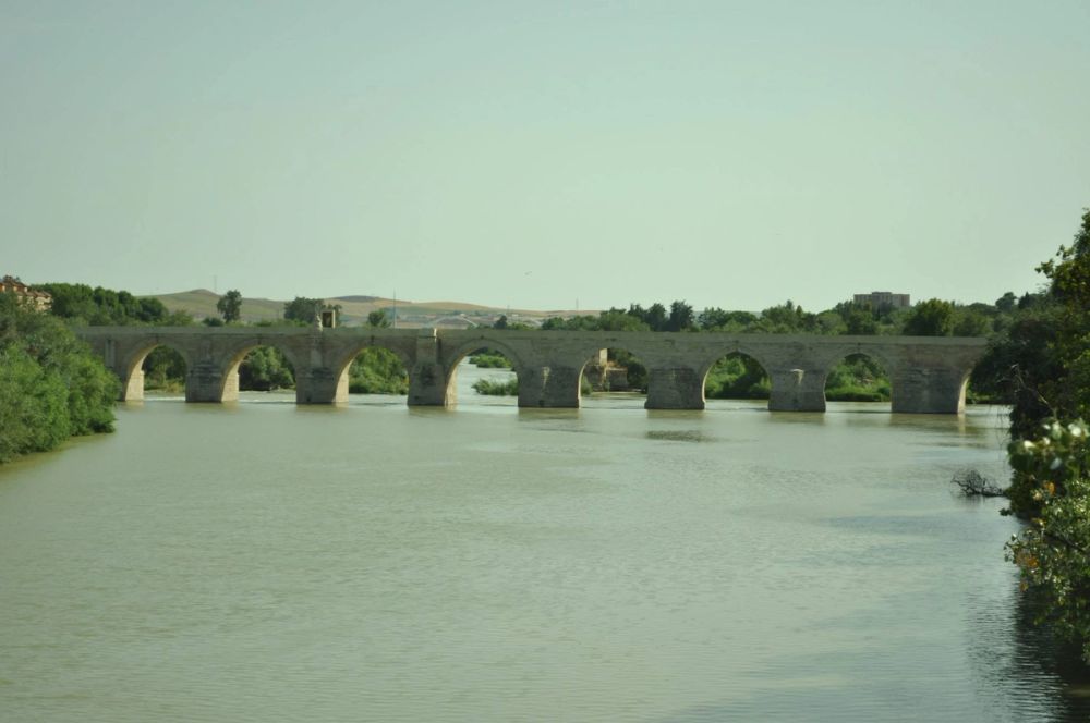 Cordoba 2013