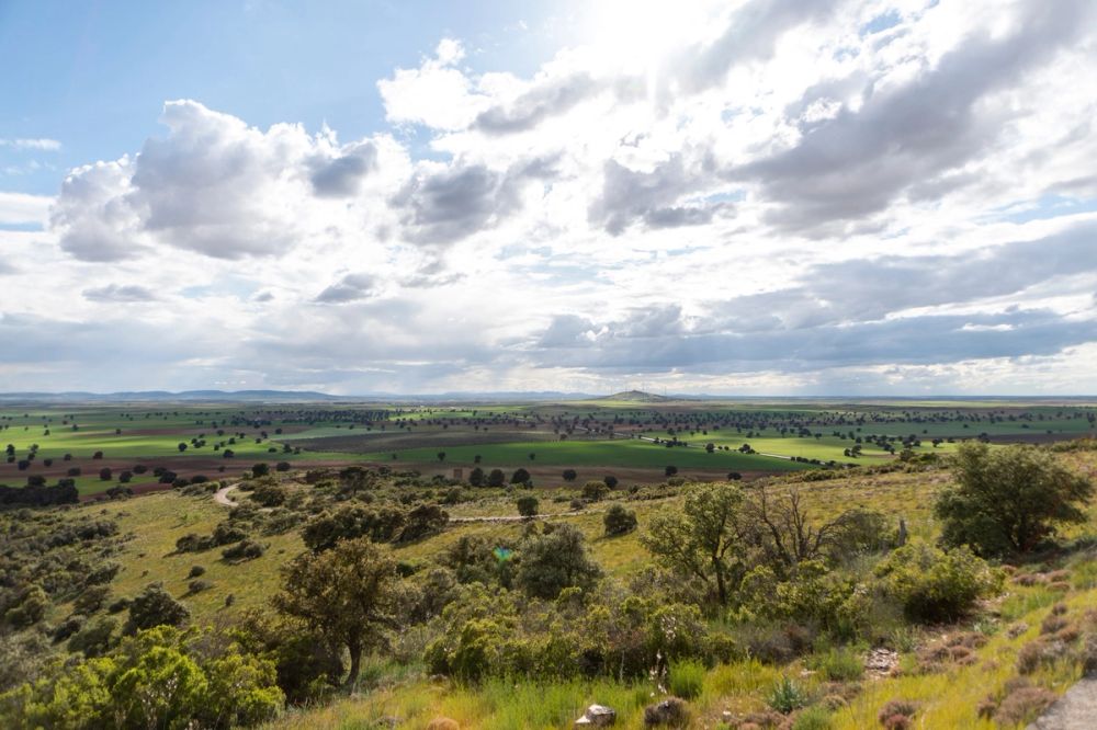 Sierra de Corral de Almaguer 03-05-2025
