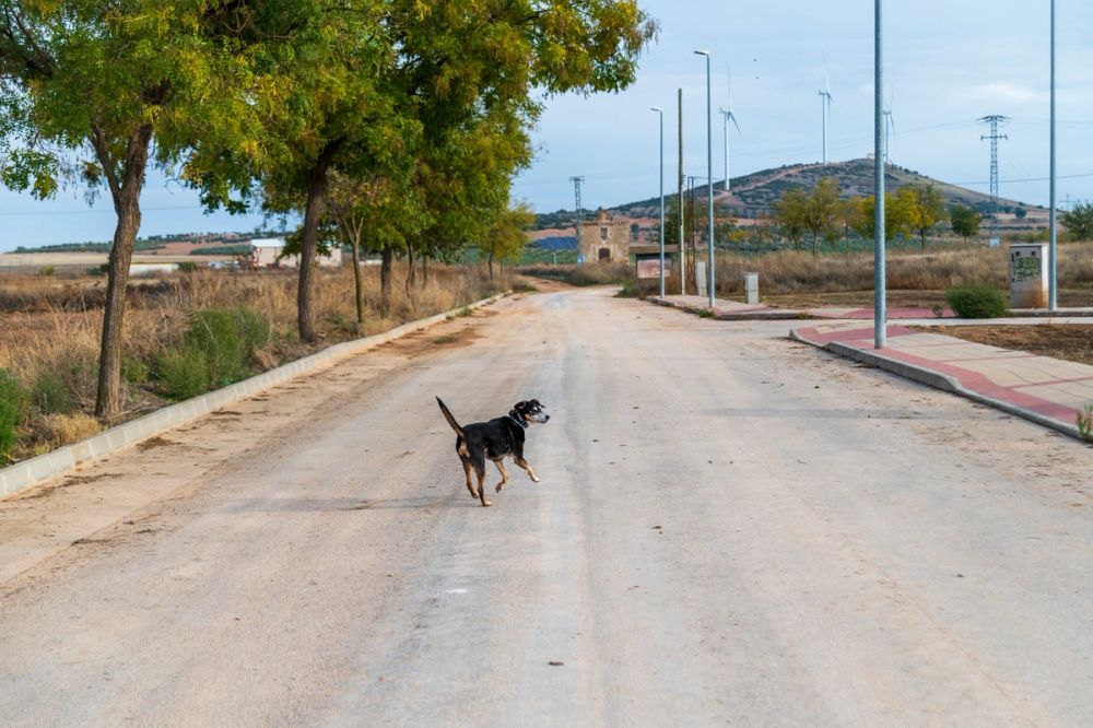 Suko