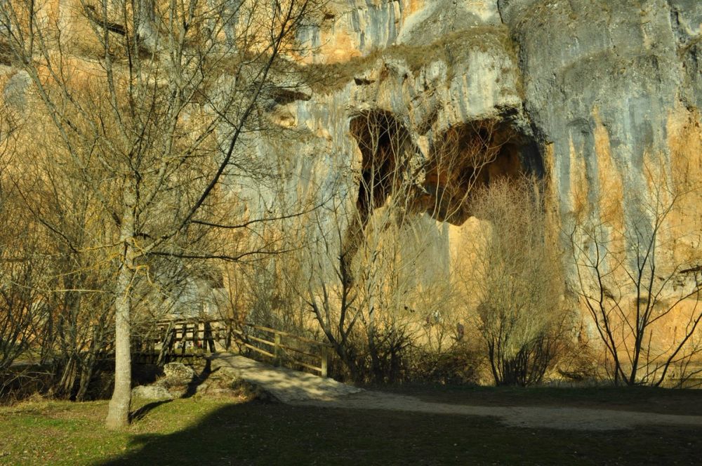 Rio lobos (Burgos/Soria) 2012