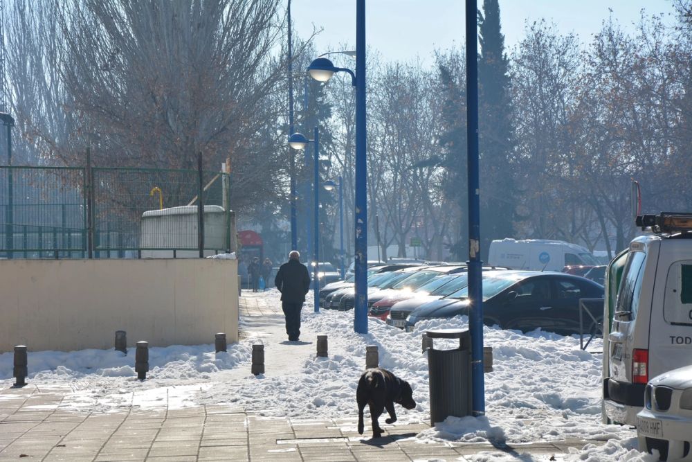 Conan en la nieve (leganes) 2021