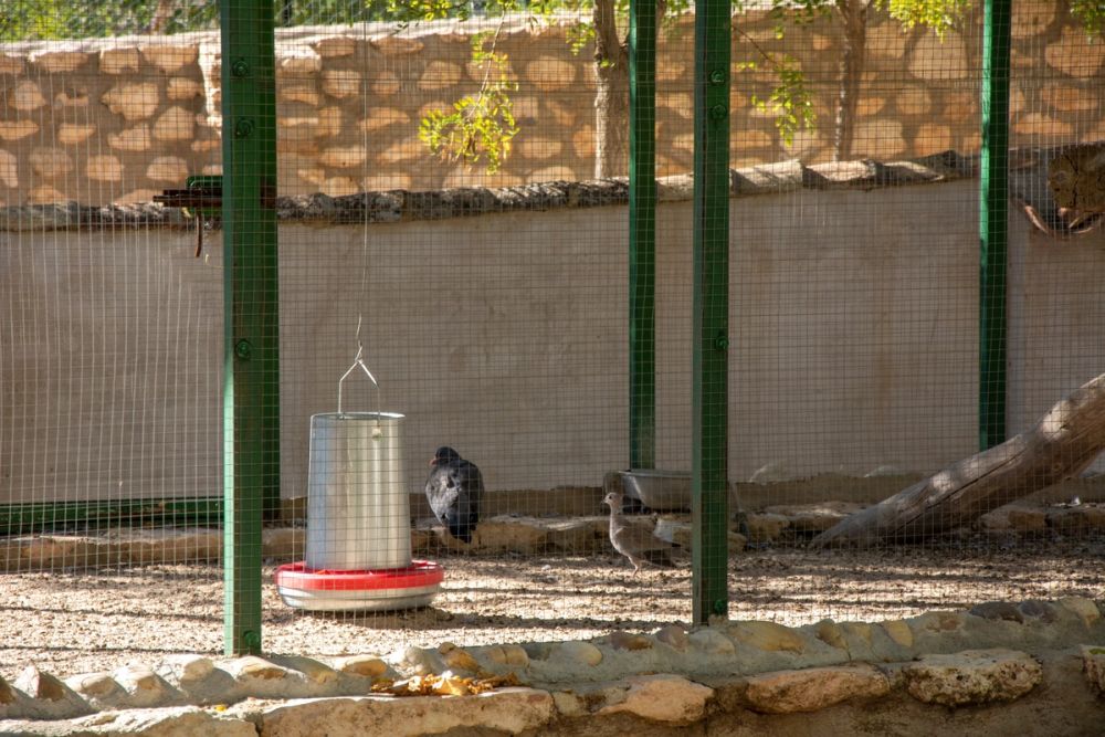 Zoo de Lillo 03-09-2022