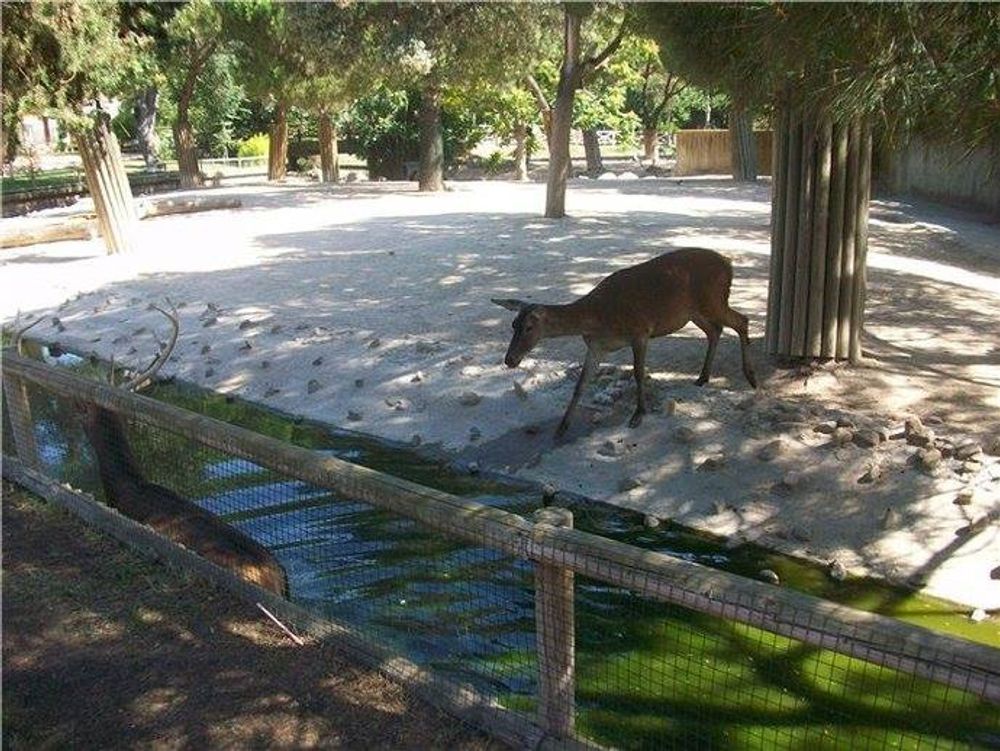 zoo 2010