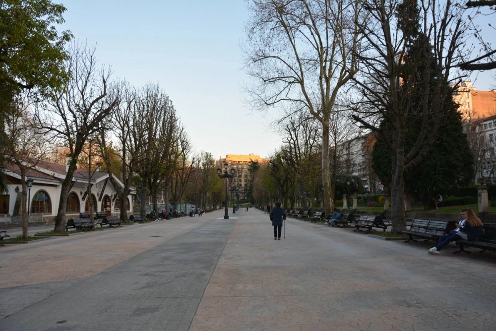 Oviedo 2019