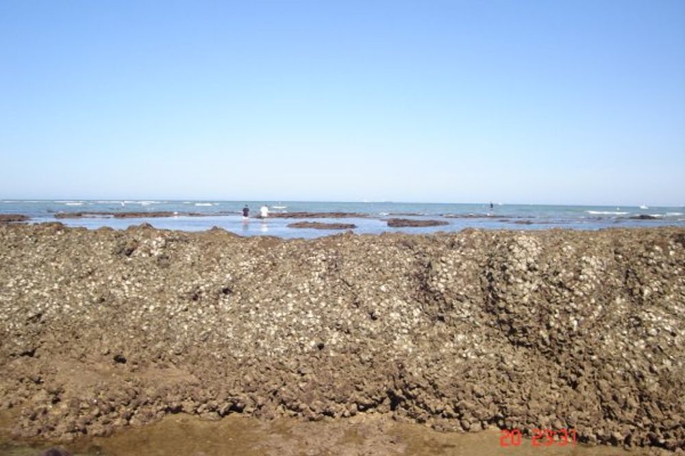 chipiona 2008