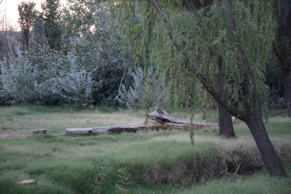 Parque Polvoranca (Leganes) 20-08-2017