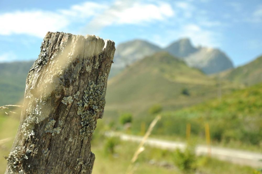 Babia (Leon/Asturias) 2014