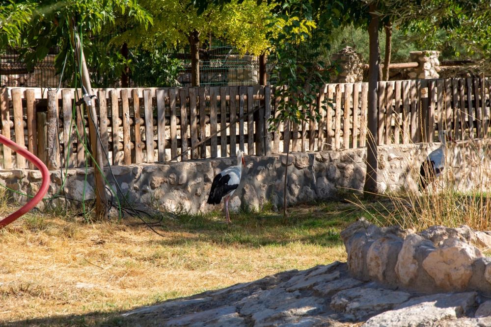 Zoo de Lillo 03-09-2022