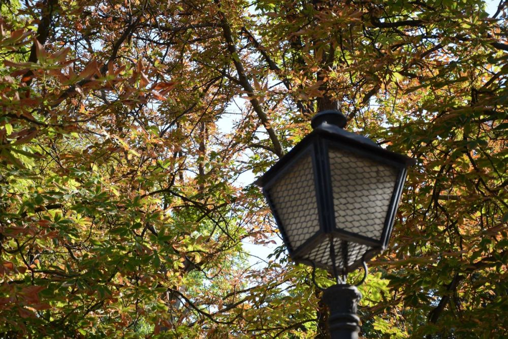 Parque del Retiro (Madrid) 18-08-2017