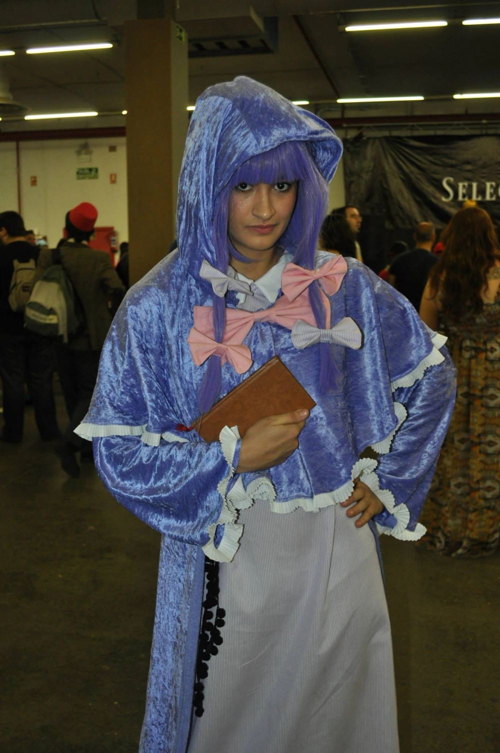 Japan Weekend 2013