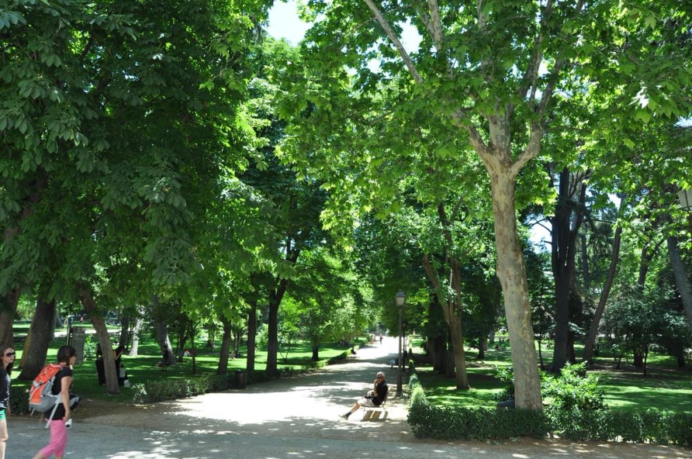 Parque del Retiro (Madrid) 30-05-2015