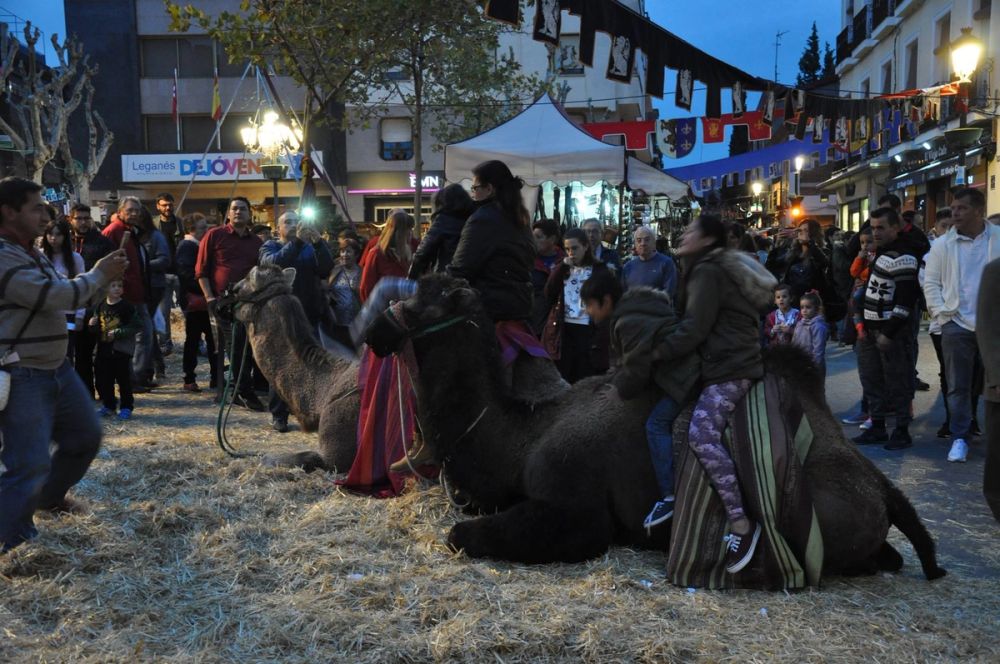 Feria Mediaval (Leganes) 2016