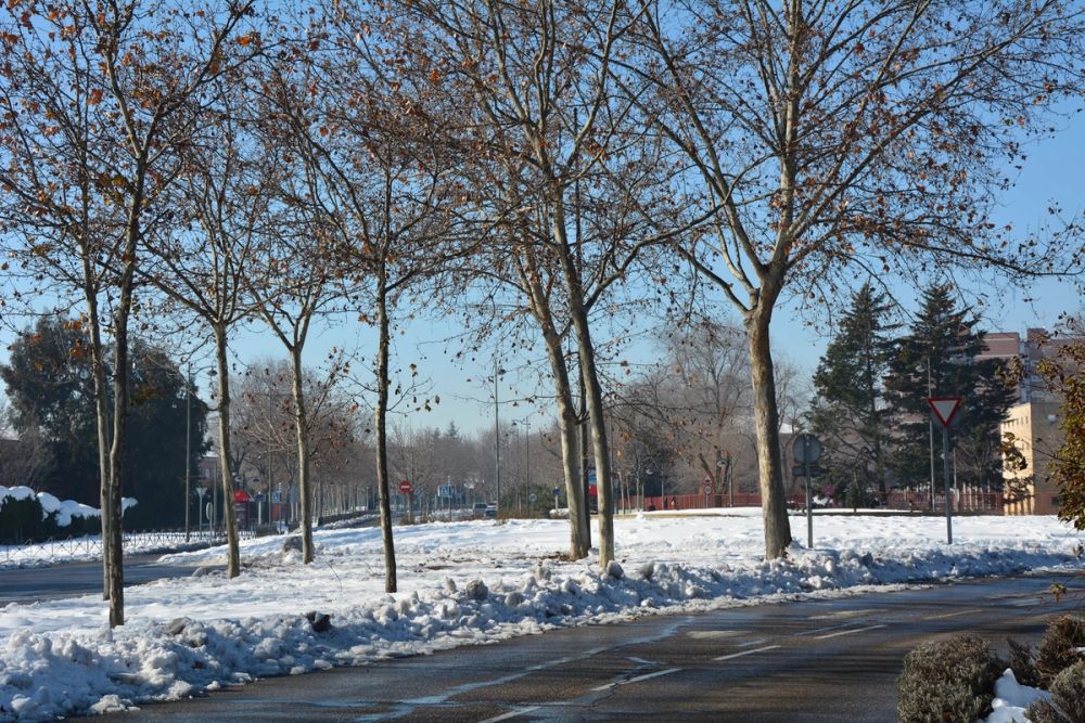 Leganes Nevado 2021 Dia 4