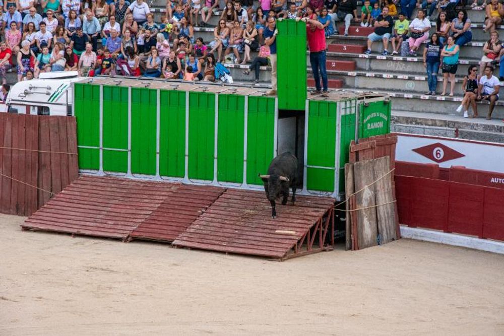 Toros en Colmenar Viejo 22-08-2019