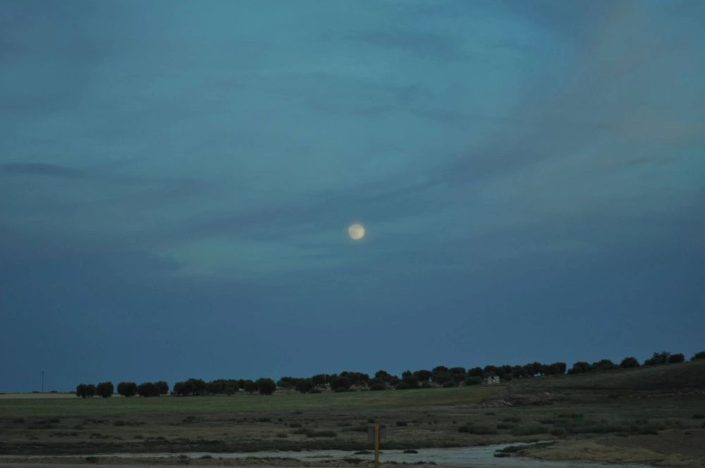 Lillo 03-06-2012