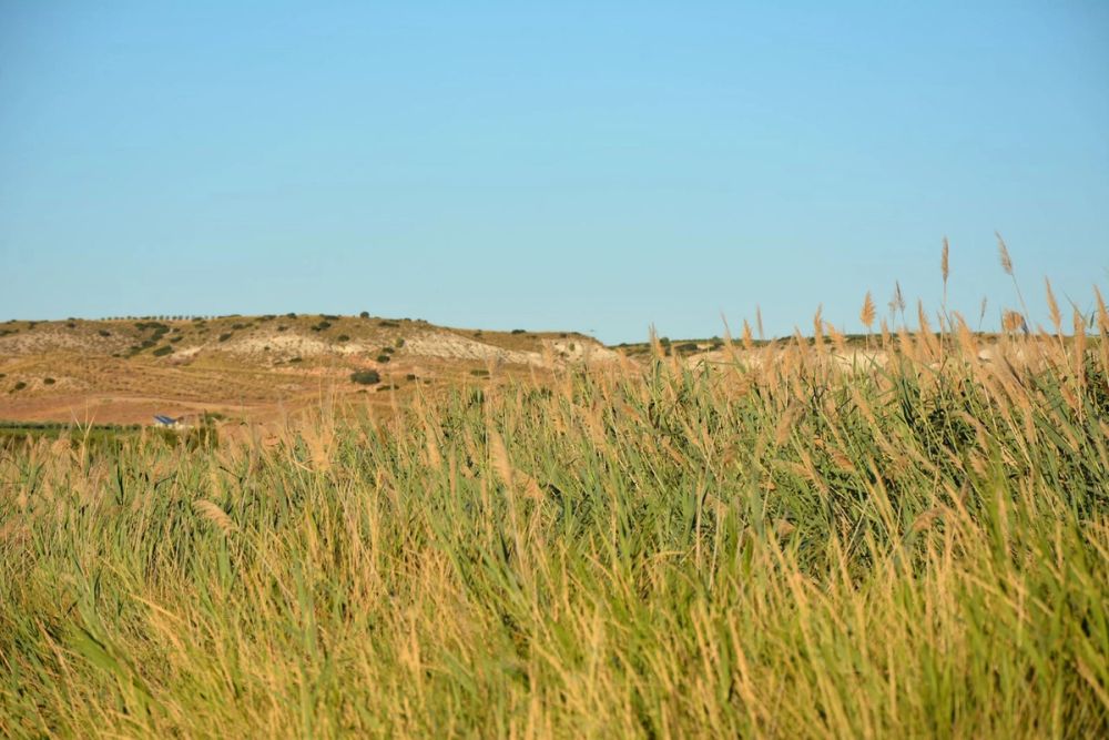 Lagunas de la guardia y Ermita del Santo Niño (La guardia) 2020