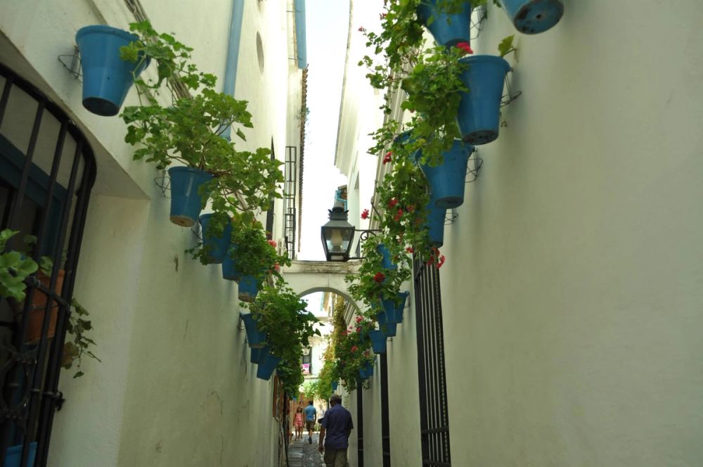 Cordoba 2013