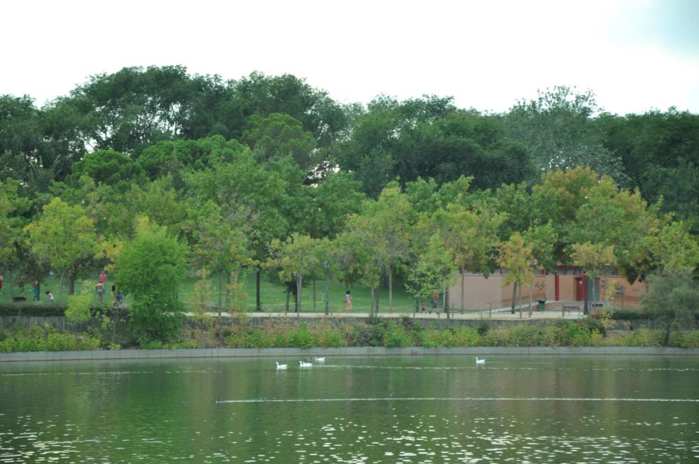 parque Polvoranca (Leganes) 30-08-2014