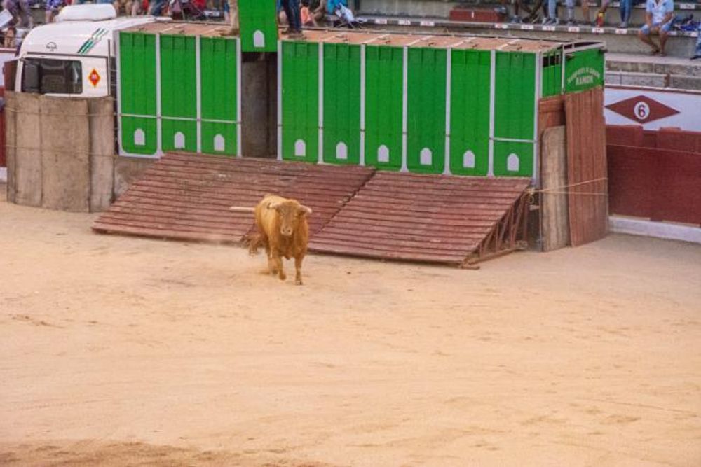 Toros en Colmenar Viejo 22-08-2019