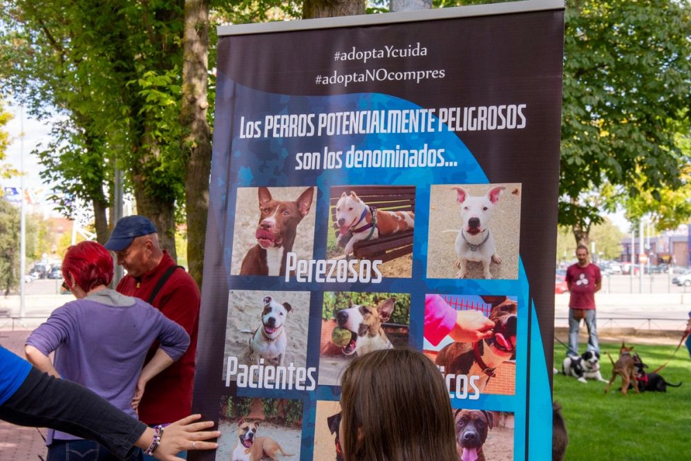 IV Ruta canina en Leganes 22-09-2019