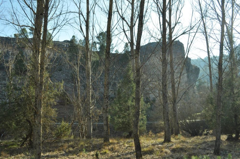 Rio lobos (Burgos/Soria) 2012
