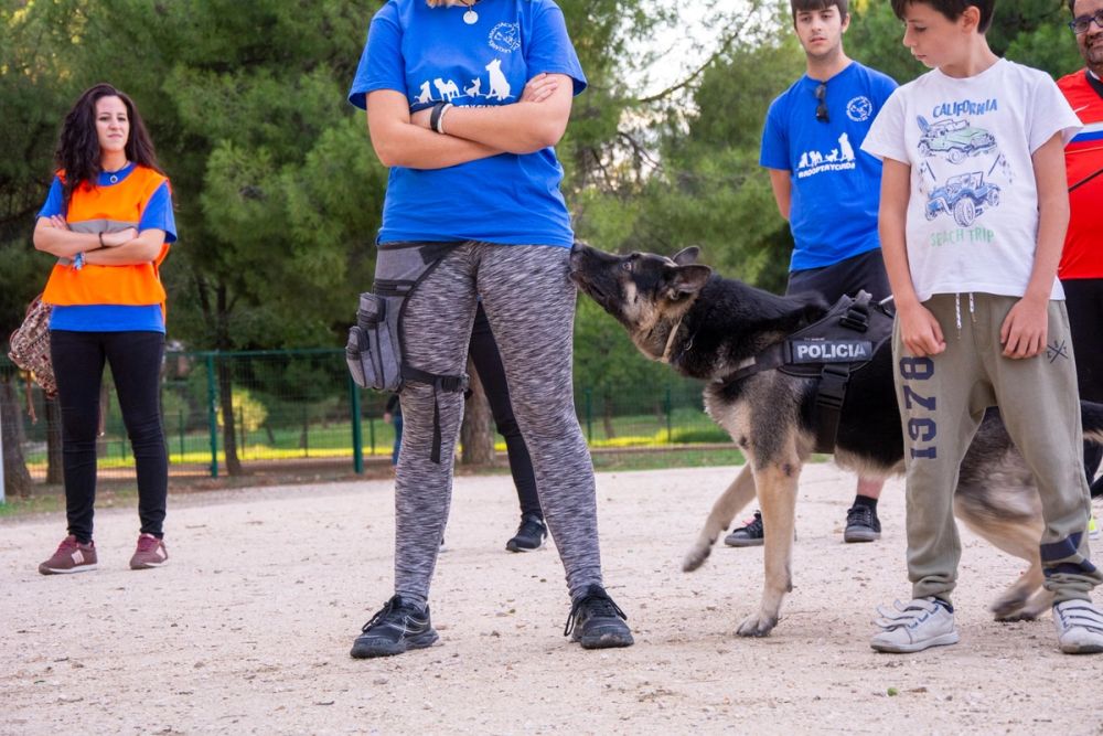 Formacion de perro policia 22-09-2019