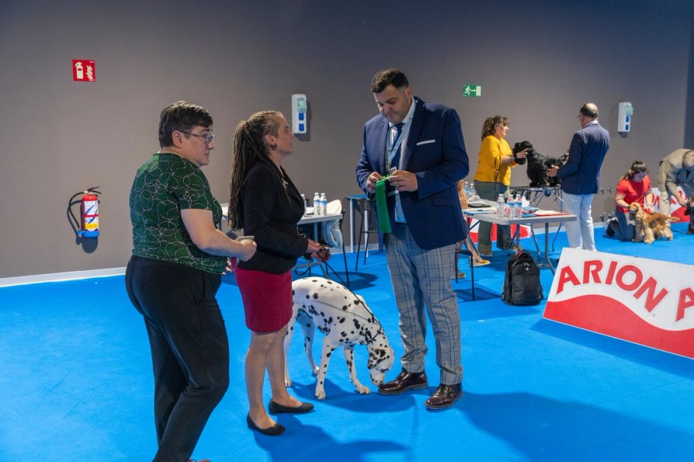 Exposicion canina (ciudad real) 02-06-2024