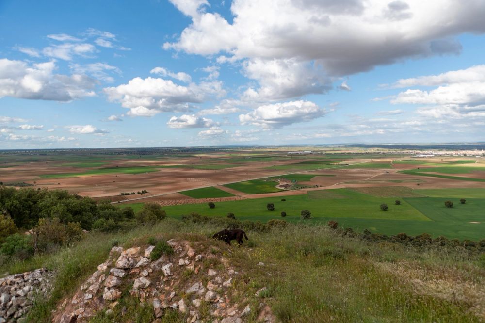 Sierra de Corral de Almaguer 03-05-2025