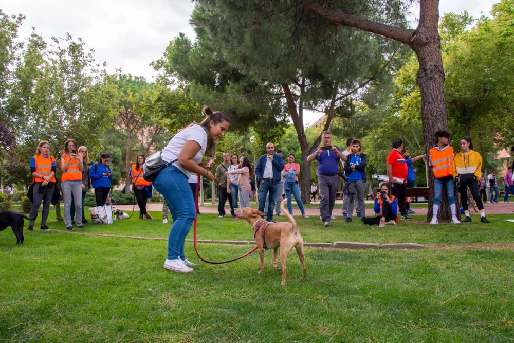 IV Ruta canina en Leganes 22-09-2019