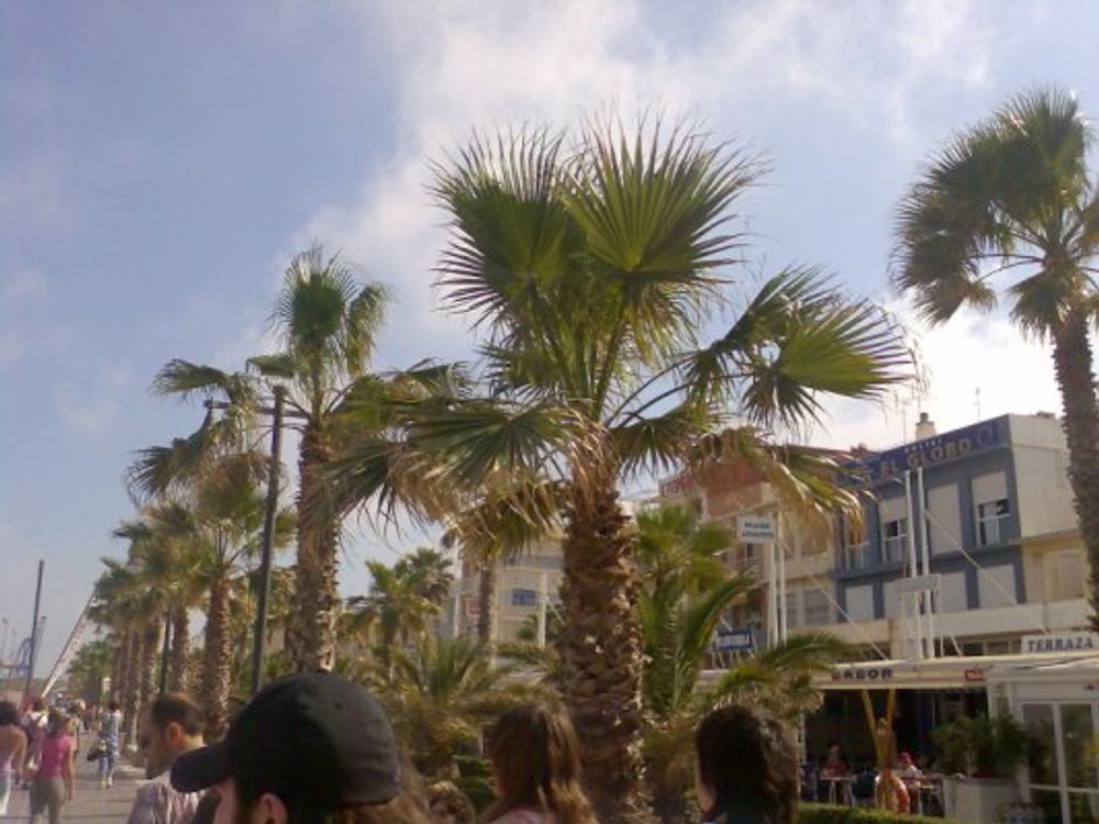 Valencia 2010
