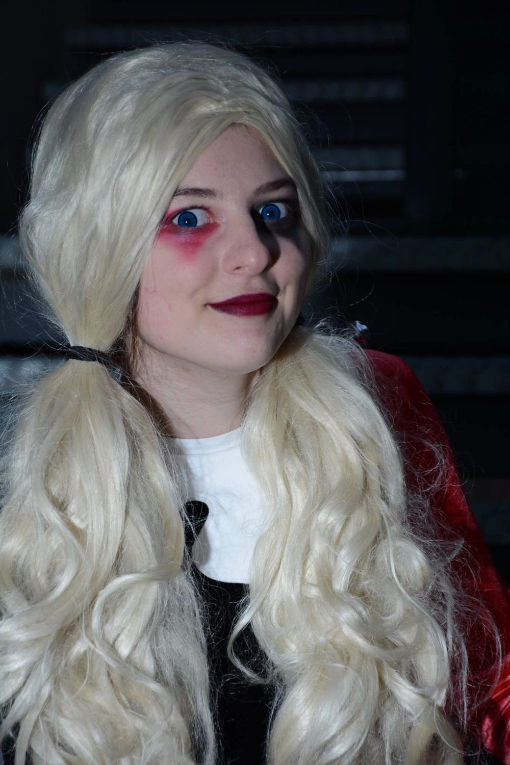 harley quinn 24-02-2019