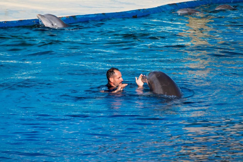 Zoo 17-08-2024