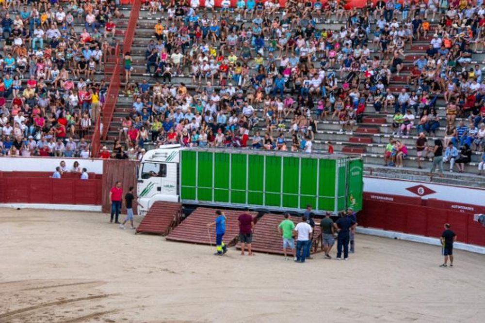 Toros en Colmenar Viejo 22-08-2019